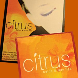 citrus_inset_01